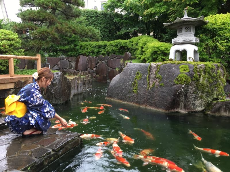 ⛩️ 사가 신사(사가진자) 이미지 5